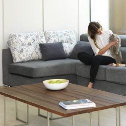 aqua-clean-arcom-aneto